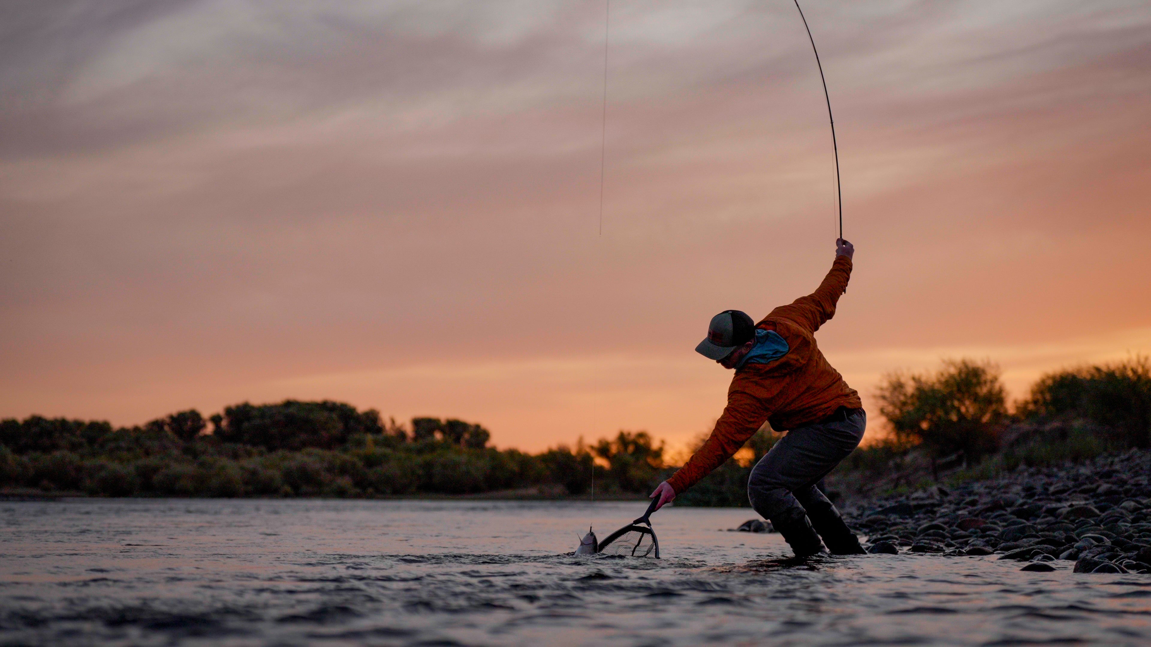 Landing a rainbow trout with a Lamson fly fishing setup