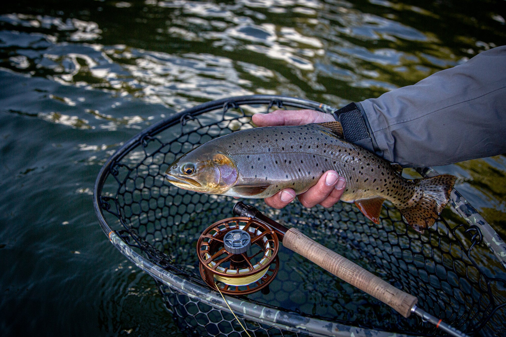 Lamson Fly Fishing | Freshwater fly fishing | fly fishing rod and reel