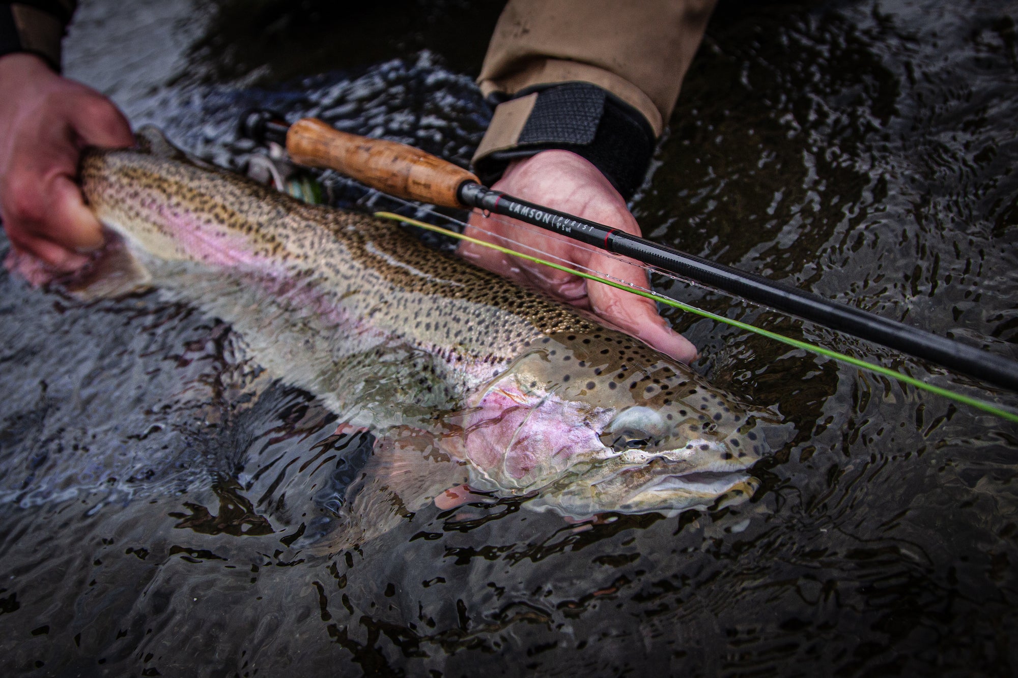 Lamson Purist Fly Fishing Rod